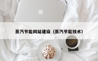 阜宁蒸汽节能网站建设（蒸汽节能技术）