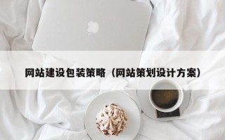 阜宁网站建设包装策略（网站策划设计方案）